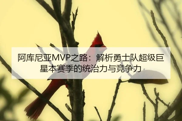 阿库尼亚MVP之路：解析勇士队超级巨星本赛季的统治力与竞争力
